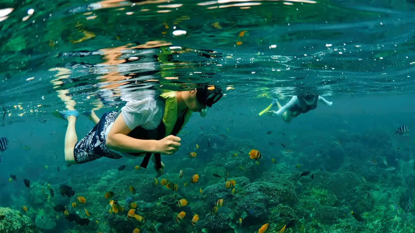 Snorkeling in Samana Bay: Sunken Ferry + Cayo Farola + Cayo Levantado island.